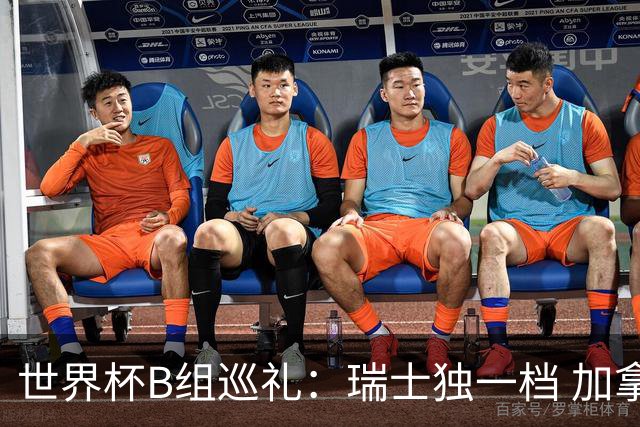 世界杯B组巡礼：瑞士独一档 加拿大觊觎心十足