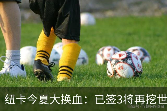 纽卡今夏大换血：已签3将再挖世界杯国脚，托纳利替身浮现
